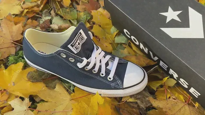 Converse M9697C синие низкие классика