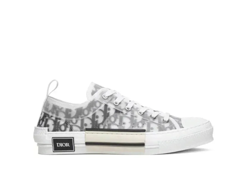 Converse x Dior низкие